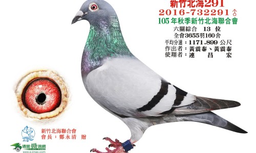 纯牛奶的好处和功效-纯牛奶有什么营养价值网- 纯牛奶有什么营养价值和功效知识,分享纯牛奶有什么营养与功效