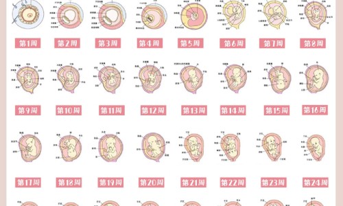 纯牛奶有什么营养价值网- 纯牛奶有什么营养价值和功效知识,分享纯牛奶有什么营养与功效